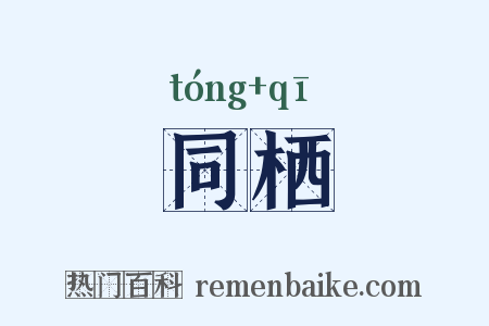 同栖是什么意思的图片